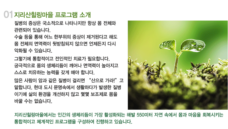 지리산힐링마을 프로그램 소개